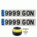 2 MATRÍCULAS COCHE LARGAS ACRÍLICAS 52X11 + LUZ EMERGENCIA CONECTADA V16